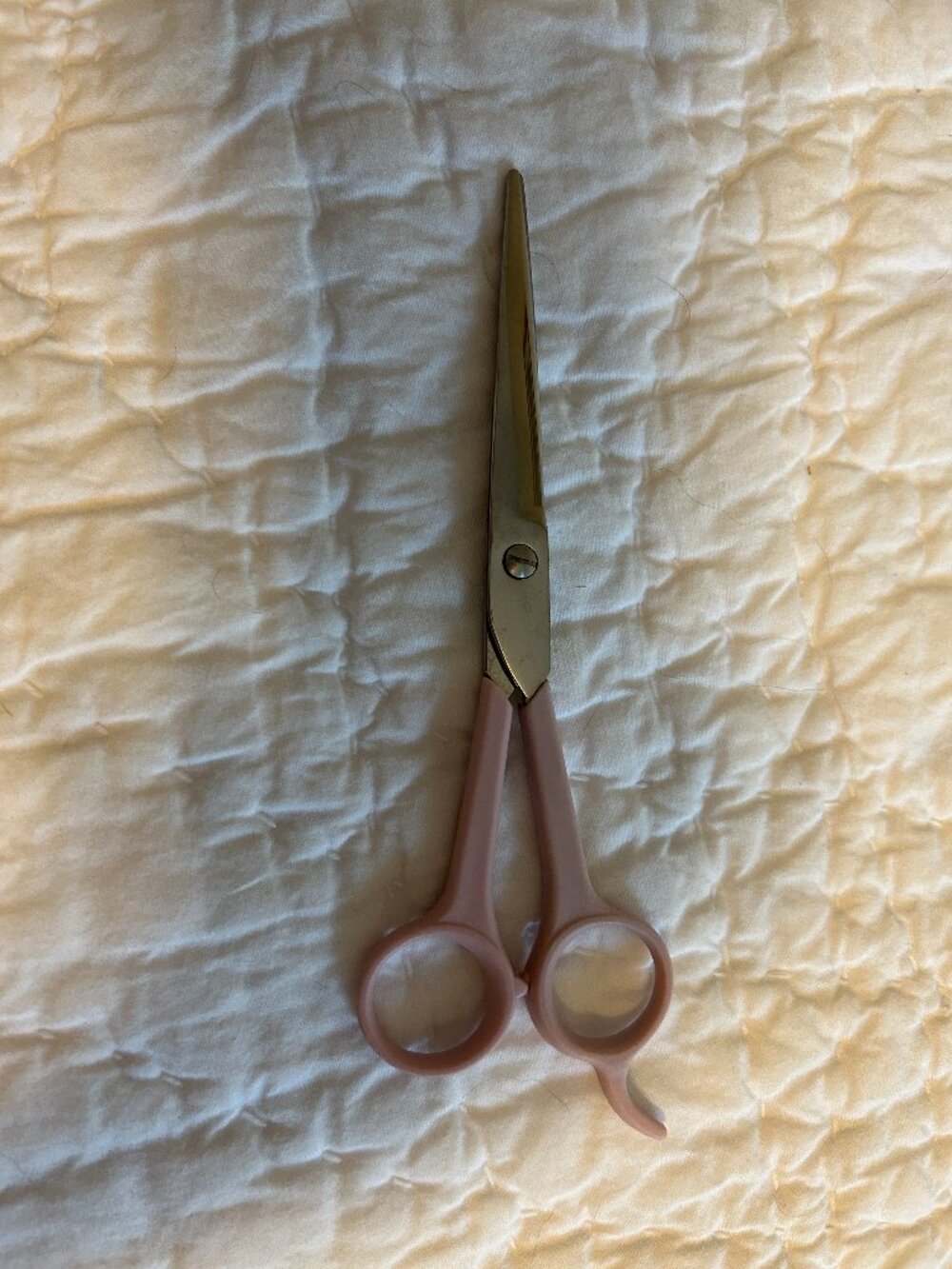 Pet Grooming Scissors Fur Cats Dogs